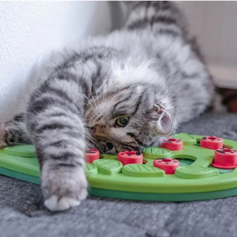 Jouet Puzzle Chat Feuille 🍃 - Entraîne le QI - Mangeoire Anti-Glouton